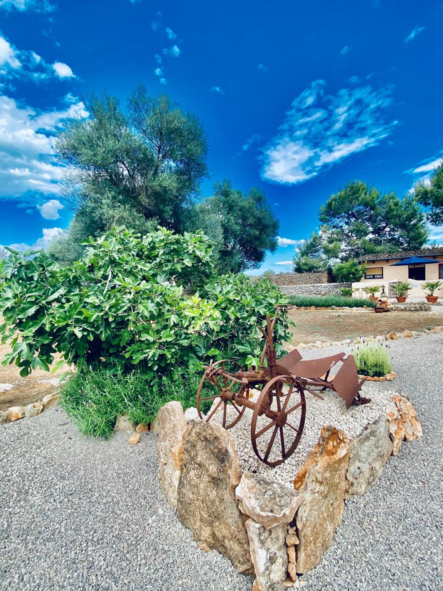Finca Sa Canova Agroturismo Кампос Экстерьер фото
